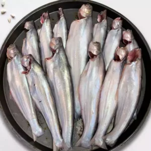 Bacha Fish