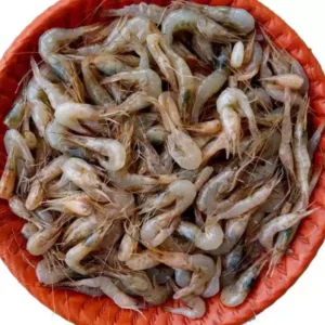 Sobji Chingri 1