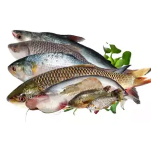Fish eBazar Buy Fish Online in Dhaka